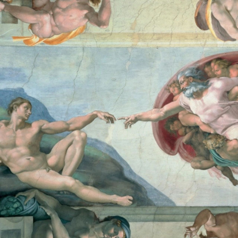 shop Michelangelo, Creazione di Adamo