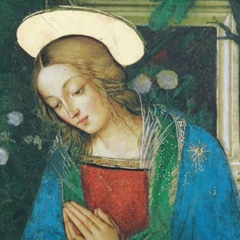 shop Pinturicchio, Adorazione dei Pastori (affresco, opzione 2)