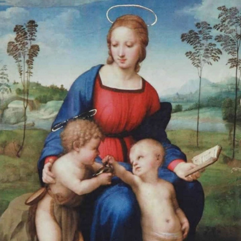 shop Raffaello Sanzio, Madonna del Cardellino (affresco, opz. 2)