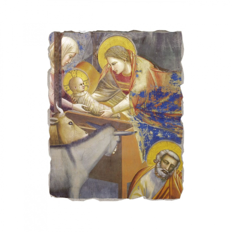 shop Giotto, Natività (particolare)
