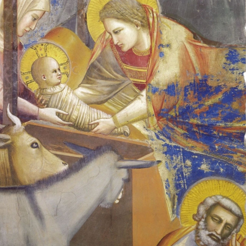 shop Giotto, Natività (particolare)