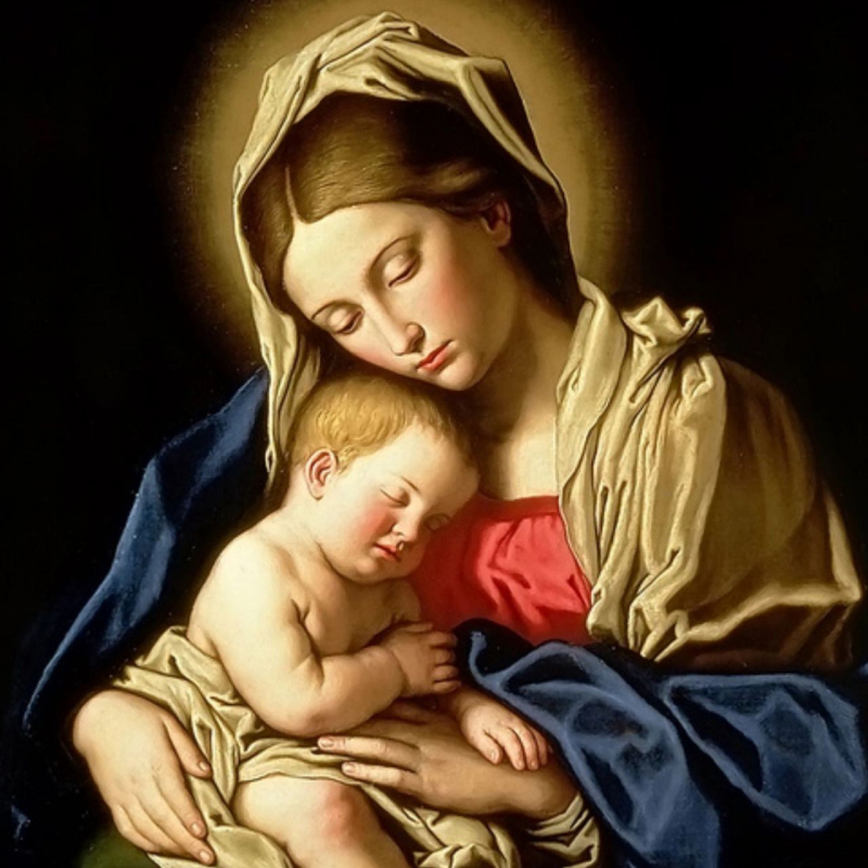 shop Sassoferrato, Madonna della Provvidenza (tavola)