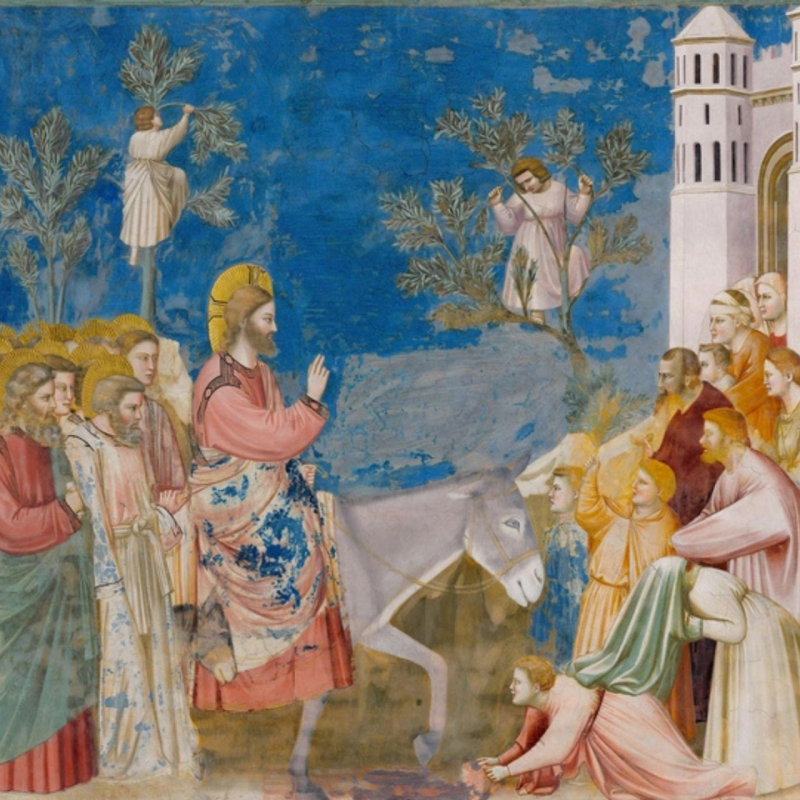 shop Giotto, Ingresso a Gerusalemme