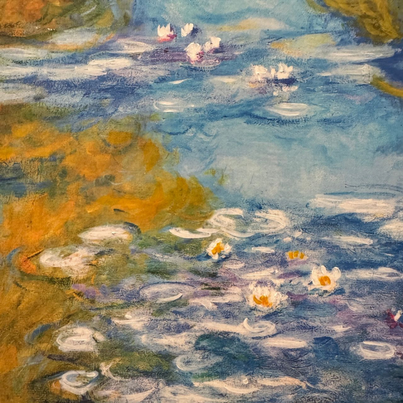 shop Claude Monet, Ninfee